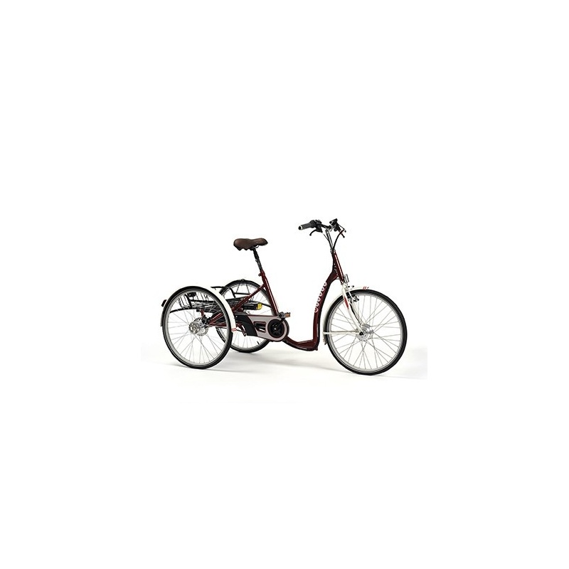 Vermeiren LAGOON-E - rower rehabilitacyjny trójkołowy ze wsparciem elektrycznym dla dorosłych